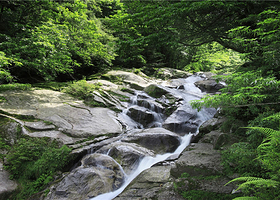 明堂山一日游【合肥出发】