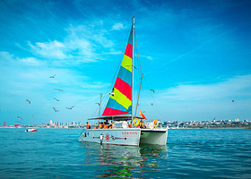 半日游【私家团】烟台蓬莱阁+八仙雕塑+登州博物馆