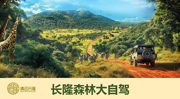 清远长隆森林大自驾