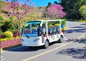 陵水热带林博园(大溪岭)