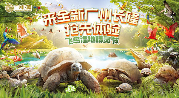 长隆飞鸟乐园