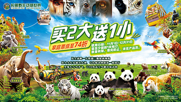 长隆野生动物世界