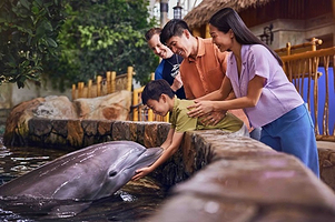 阿布扎比海洋世界SeaWorld Abu Dhabi