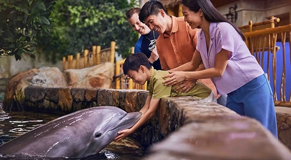阿布扎比海洋世界SeaWorld Abu Dhabi