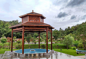 黄金海岸蓝光萤火虫