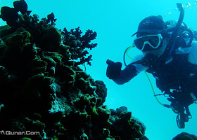 帆船港潜水度假村
