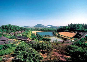 化龙农业大观园