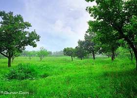 绿野仙踪生态庄园