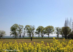 真人CS拓展联盟（富阳东吴公园店）