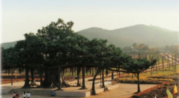 环城国家森林公园