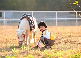 天精地华宠乐园