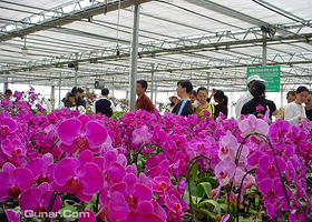 黑龙江省农科院园艺分院