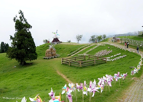 雾上桃源清境农场漫活观光