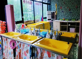 豆丁SPA婴儿游泳（科技路店）