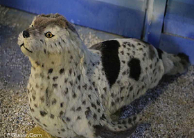 幸福湾海洋科普展览馆