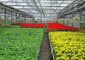 北方现代都市农业示范园