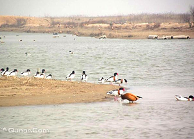 大洼西安生态旅游区
