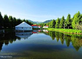 尼勒克次森林度假村