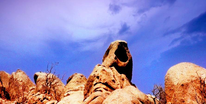 贺兰山滚钟口门票,贺兰山滚钟口门票预订,贺兰山滚钟口门票价格,去哪儿网门票