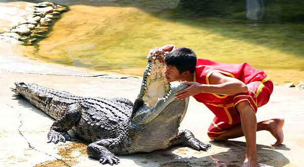 南京紫清湖鳄鱼乐园