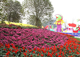 扬中市园博园金秋菊花•彩灯展