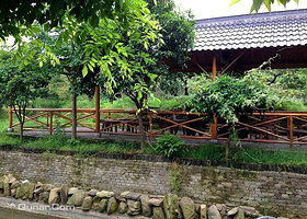 深山沟家庭农场