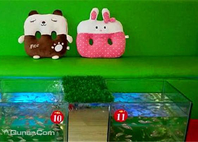 南昌中山路亲亲鱼疗