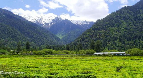 茶园生态旅游区