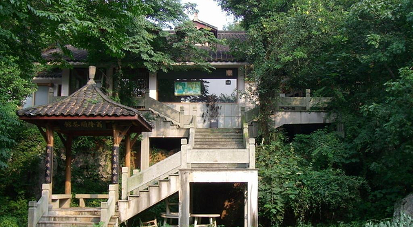 龙井山园茶文化村