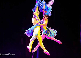 《梦幻东方》上海杂技之夜