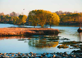 弥河湿地水上乐园