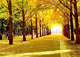 北京钓鱼台国宾馆