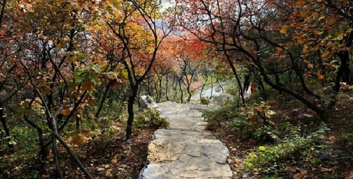 坡峰岭在哪里图片 ffe752b4317785c6a86a4dd37d449b84.water.jpg_710x360_005ee412.jpg