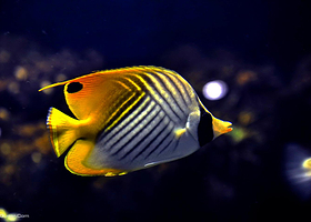 徐州云龙湖水族馆