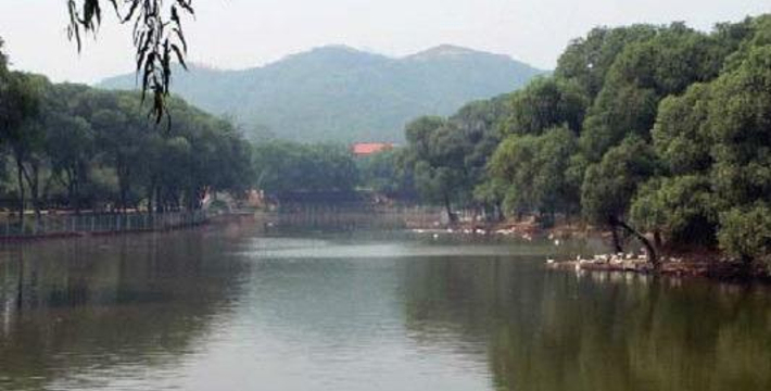 6b15007bbe78b4902fd782165b16116c.water.jpg_710x360_afda3c36.jpg
