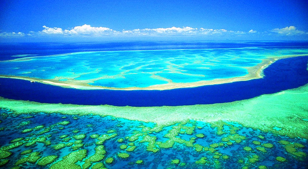 基韦斯特(已下线)