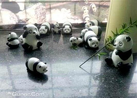 河南省体中心熊猫艺术展