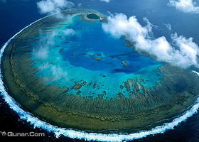 伊利特女士岛大堡礁