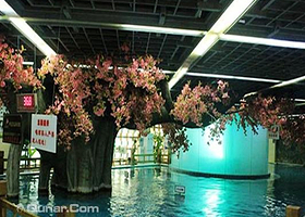 云海蓝天御温泉