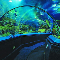 上海海洋水族馆