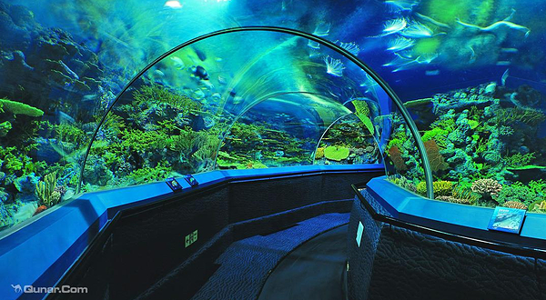 上海海洋水族馆
