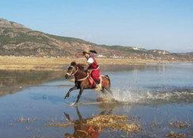 木老爷打猎骑马场