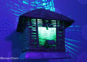 极道真人密室逃脱