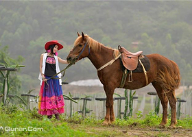 广西南宁奔腾马场