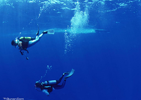 三亚旭阳户外潜水俱乐部