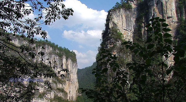紫江地缝