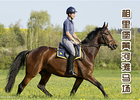 韩城跑马场（韩城黄河滩跑马场）