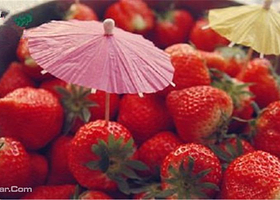 大熊家的草莓店