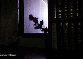 福州逃堡密室俱乐部