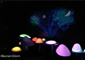 上海星际森林奇幻之旅